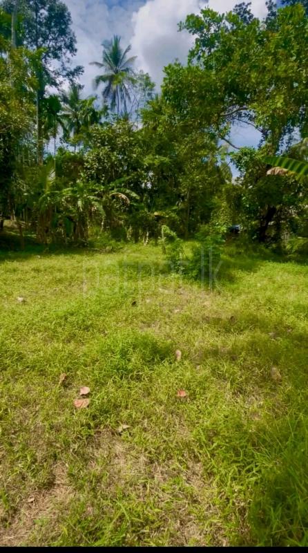 Residential Land for Sale in Ragama