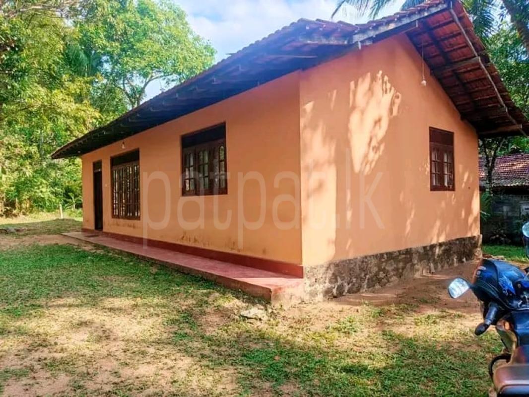 Land for Sale in Nittambuwa ads-image-1