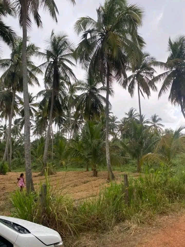 Residential Land for Sale in Kurunegala