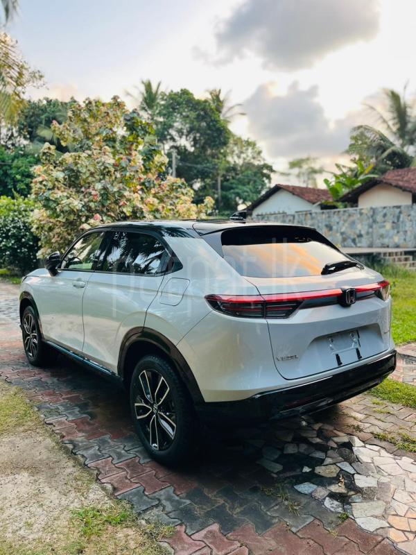 Advertisement image 6