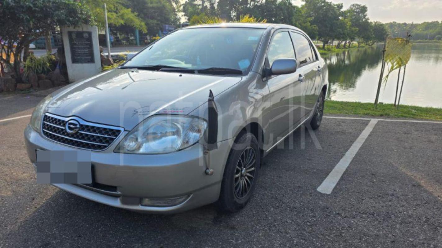 Advertisement image 2