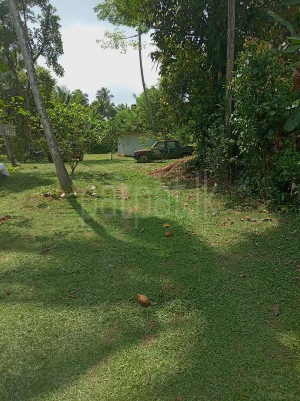 Agricultural Land for Sale in Yakkala ads-image-1