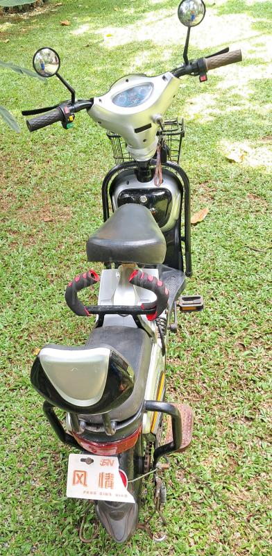 Advertisement image 3