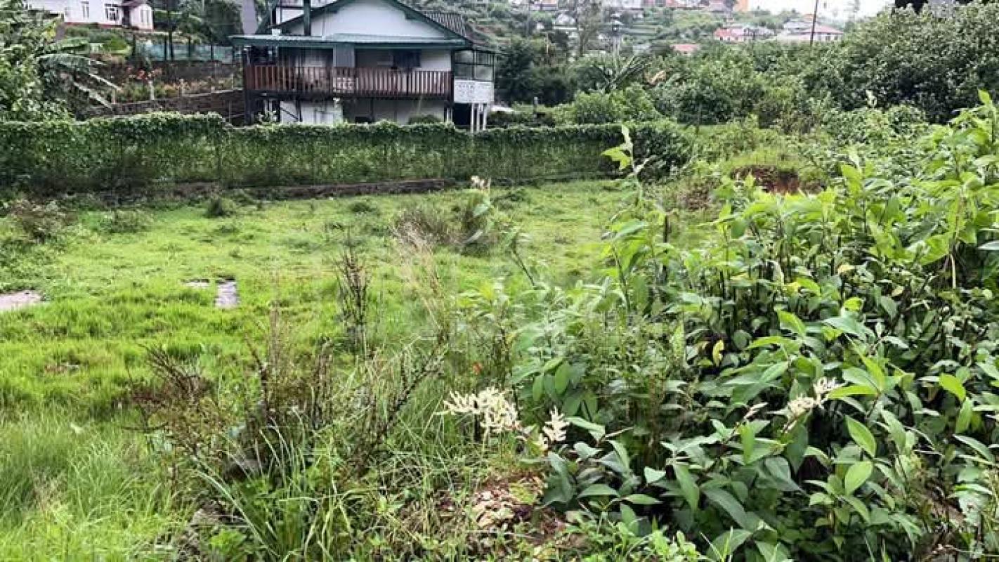 Agricultural Land for Sale in Nuwara Eliya ads-image-1