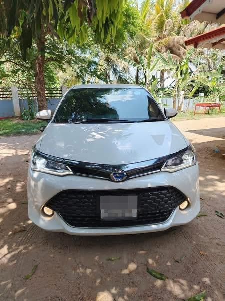 Toyota Axio 2017 - Used Car sale in Sri Lanka - patpat.lk