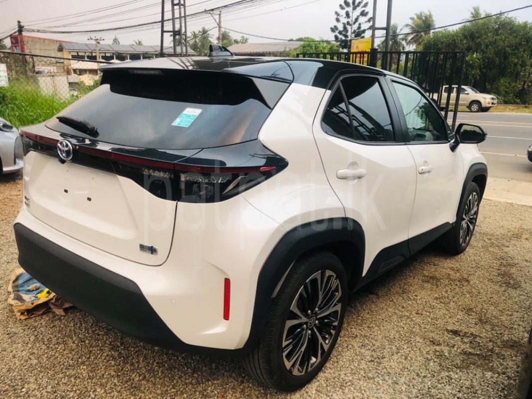 Advertisement image 5