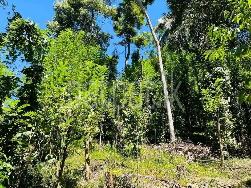 Residential Land for Sale in Beruwala