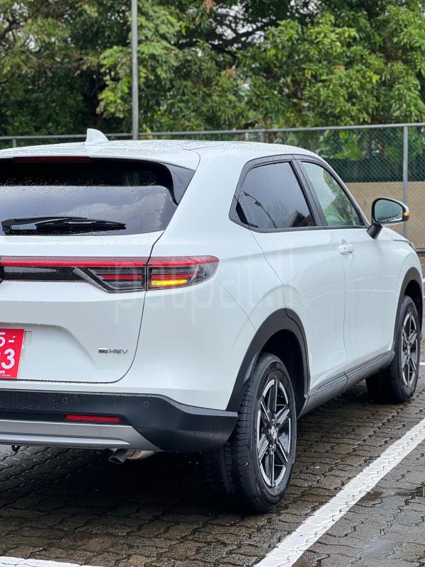 Advertisement image 6