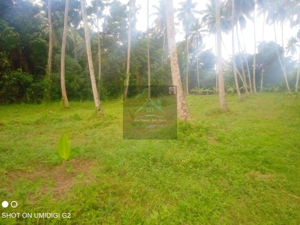 Agricultural Land for Sale in Divulapitiya