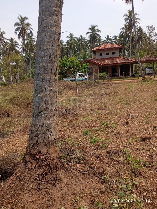 Residential Land for Sale in Madampe ads-image-1