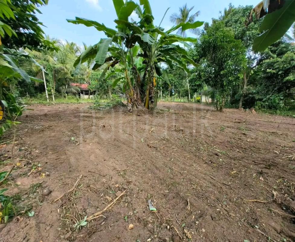 Agricultural Land for Sale in Maho ads-image-1