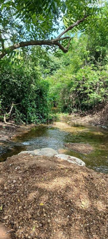 Agricultural Land for Sale in Kataragama