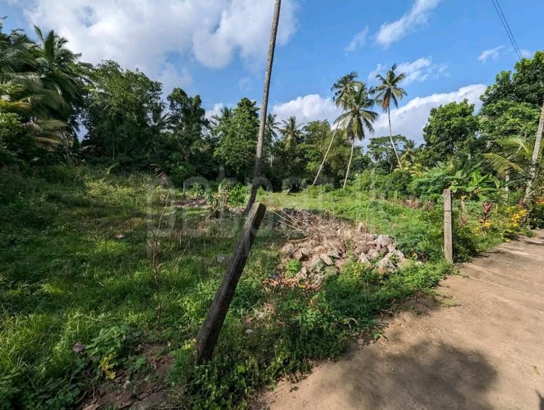 Residential Land for Sale in Kandana