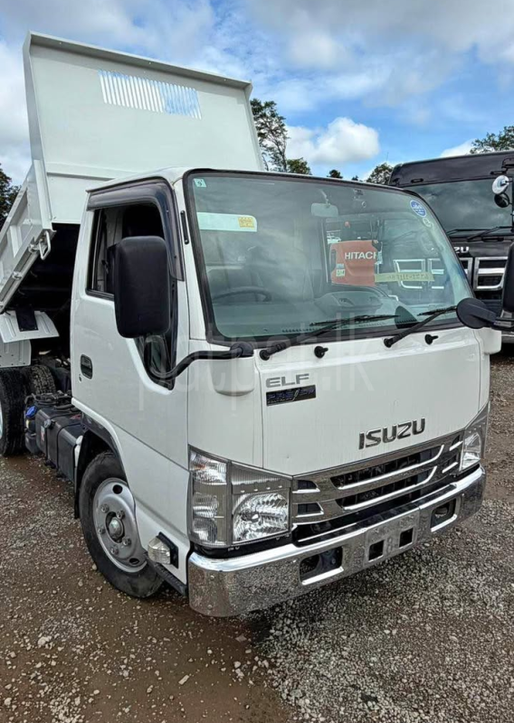 Isuzu ELF 2019 - අලුත් ට්‍රක් රථය sale in Sri Lanka - patpat.lk