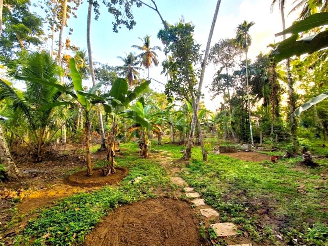 Residential Land for Sale in Udugampola