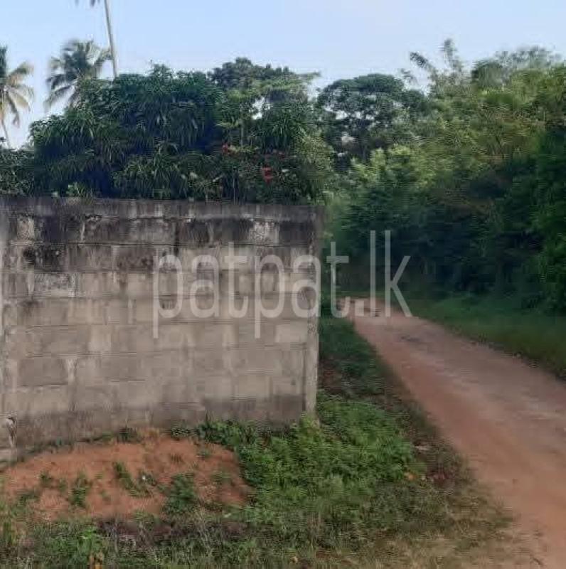 Advertisement image 6