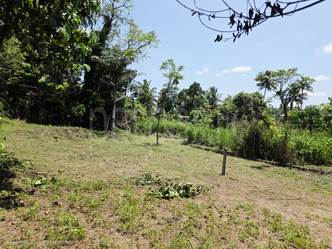 premium-listing-image