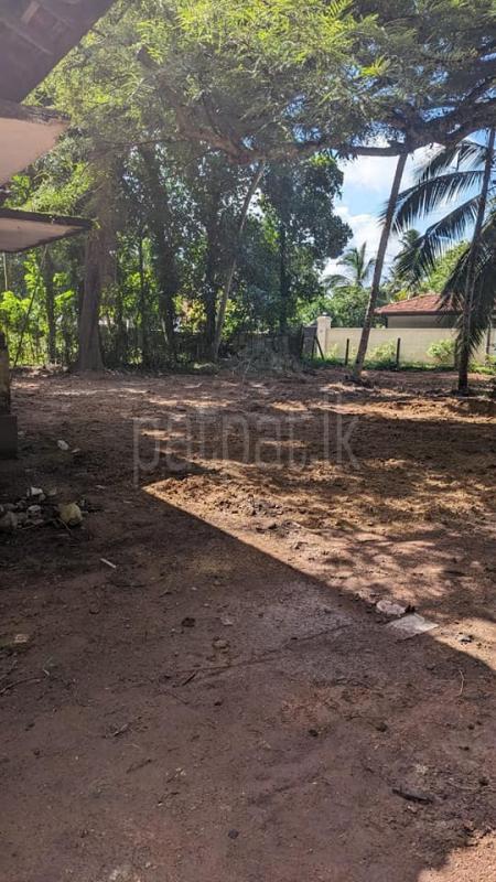 Commercial Land for Rent in Raddolugama ads-image-1