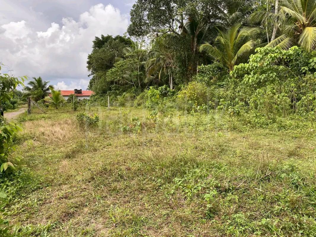 Agricultural Land for Sale in Galagedara