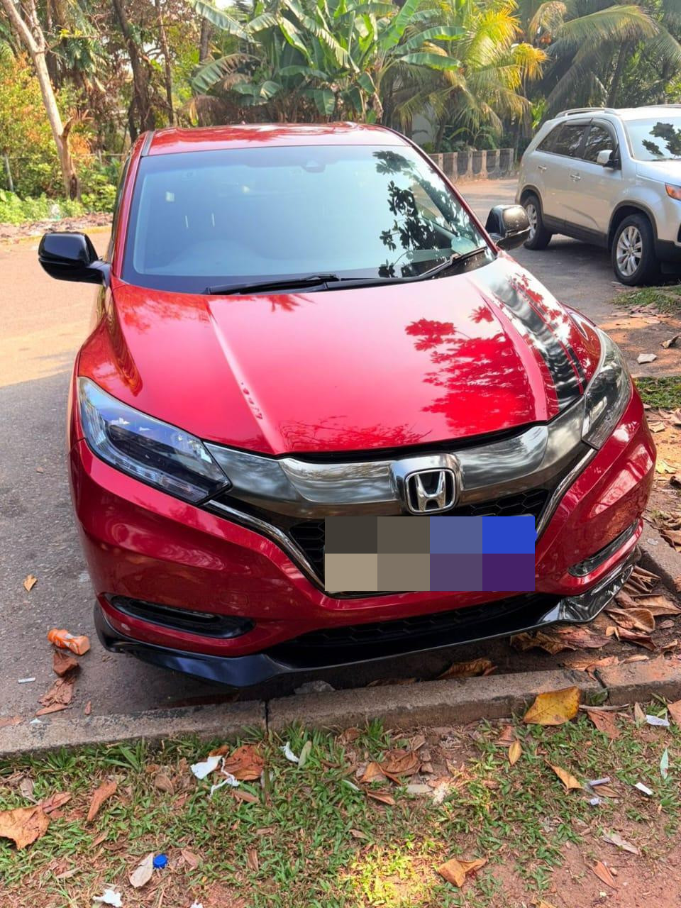 Advertisement image 3