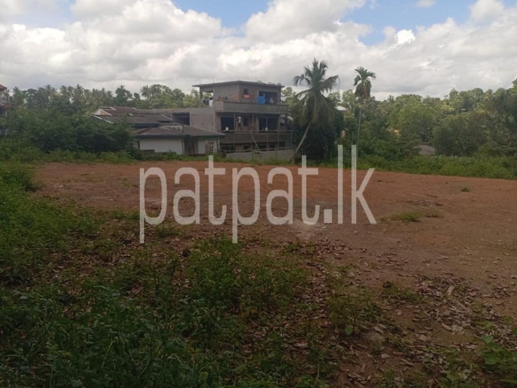 premium-listing-image