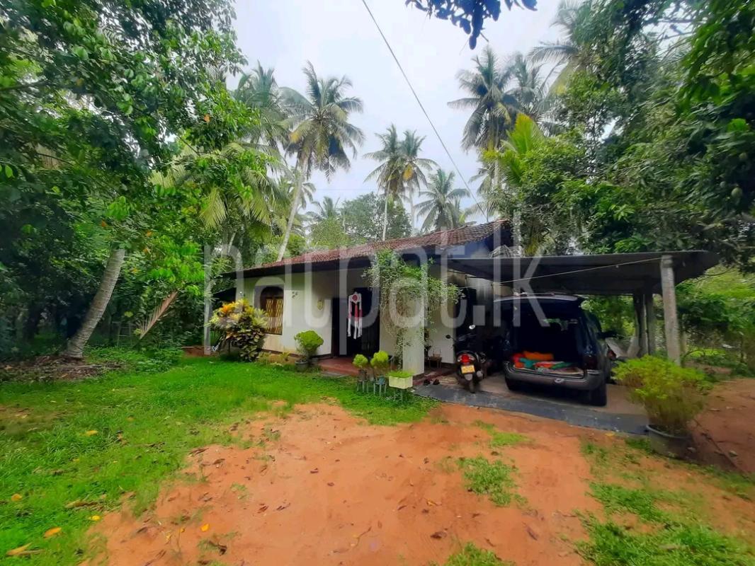 Residential Land for Sale in Kalawana