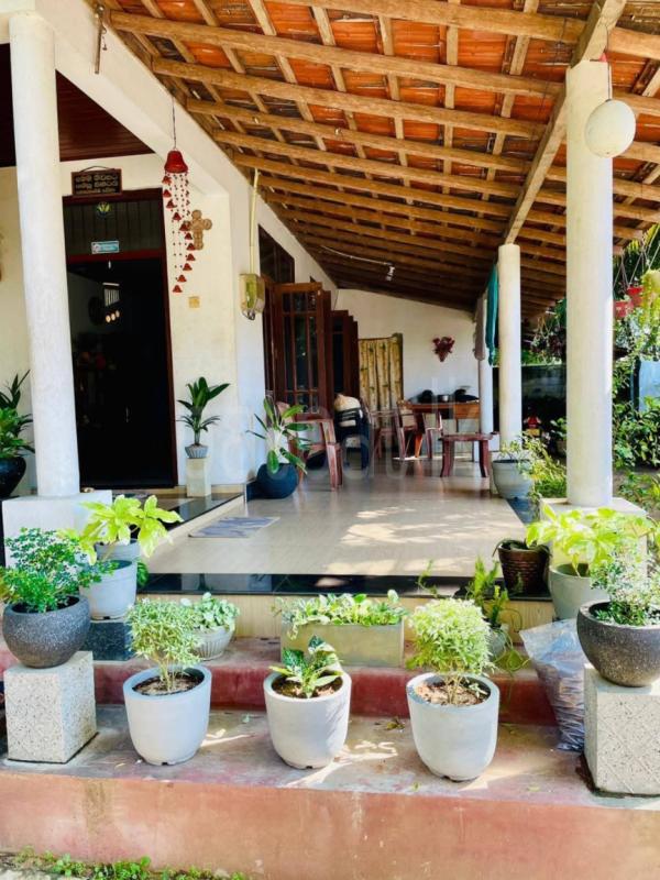 premium-listing-image