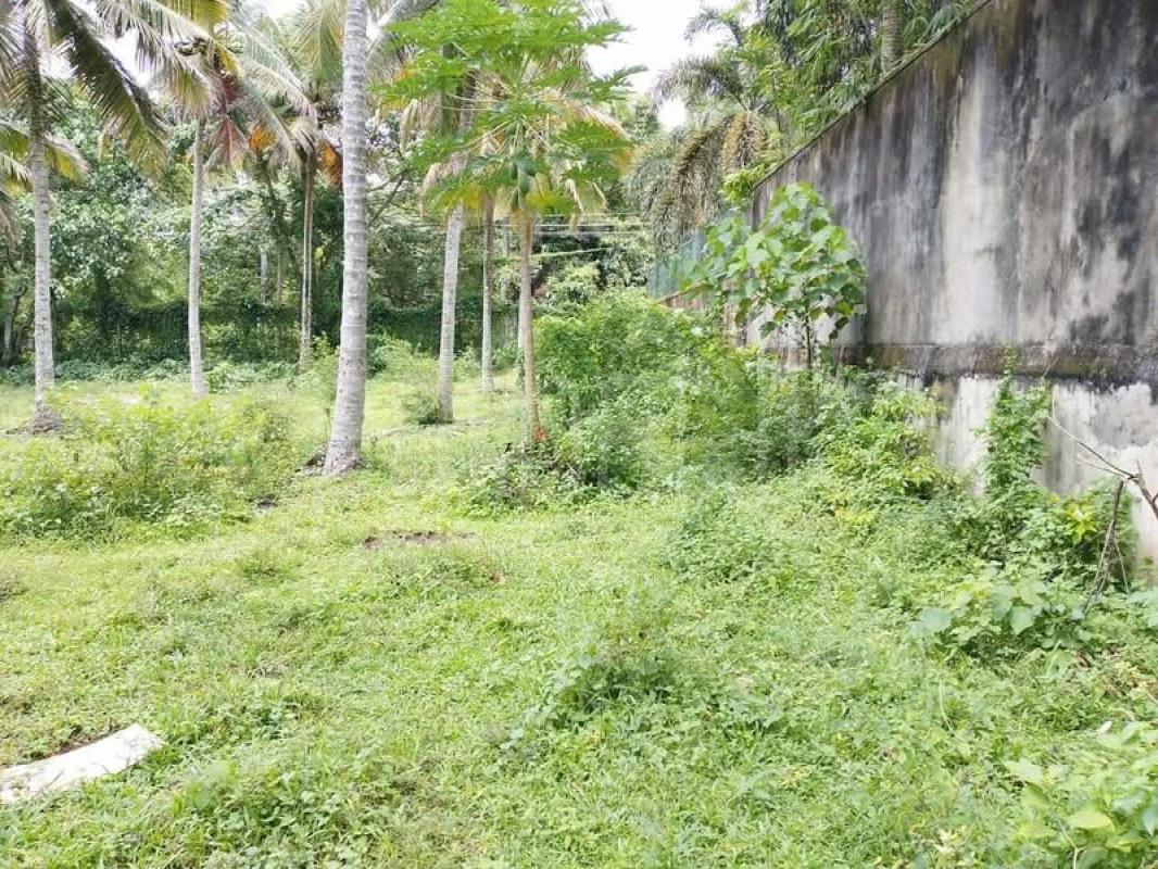 Residential Land for Sale in Battaramulla