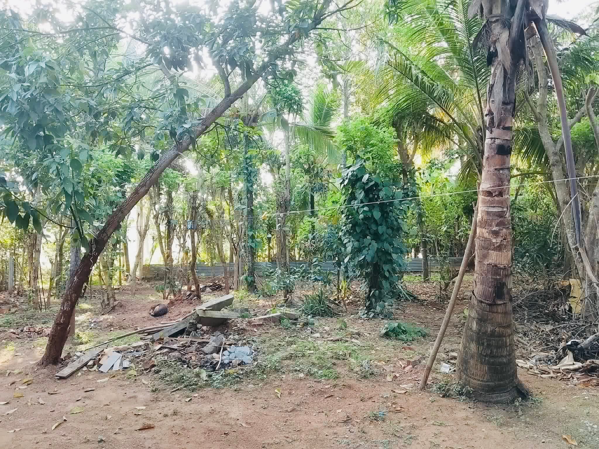 House for Sale in Embilipitiya