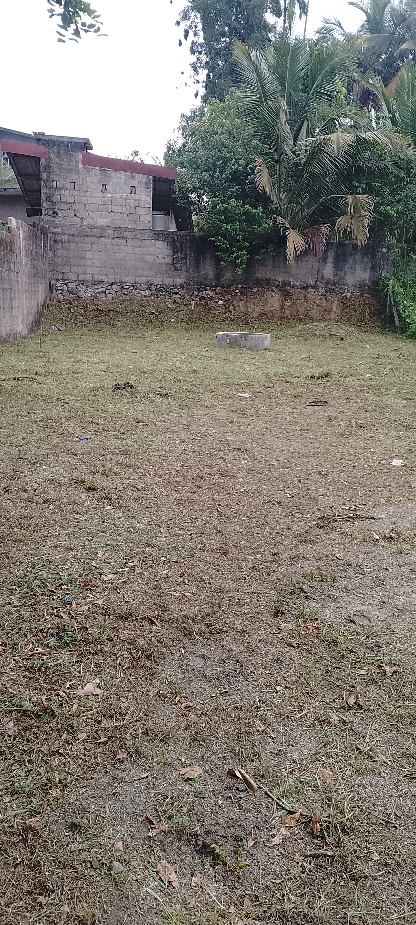 Commercial Land for Sale in Homagama