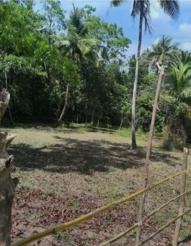 Agricultural Land for Sale in Ekala