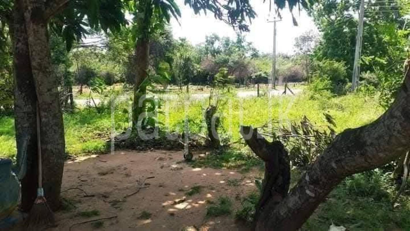Residential Land for Sale in Kataragama