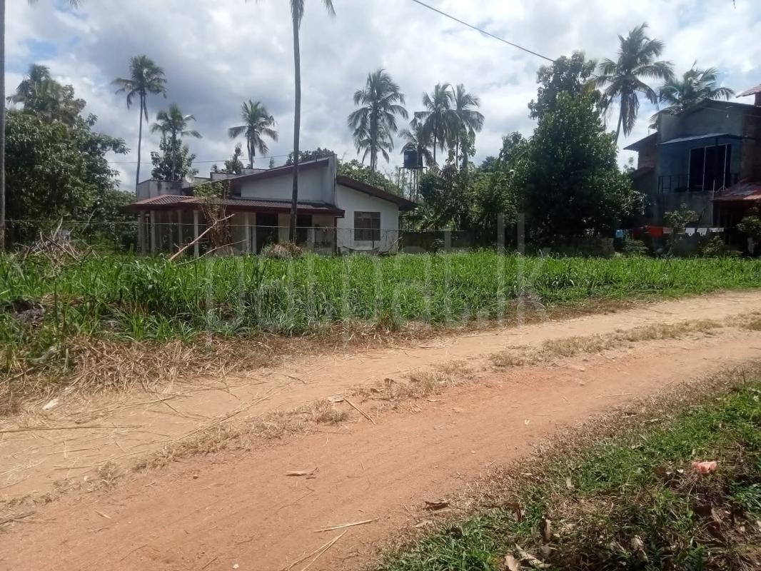 Residential Land for Sale in Kurunegala