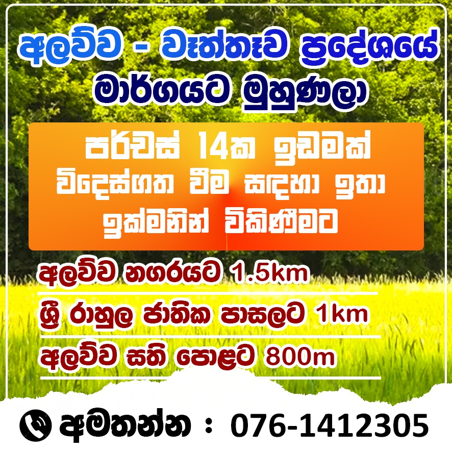 Commercial Land for Sale in Alawwa ads-image-1