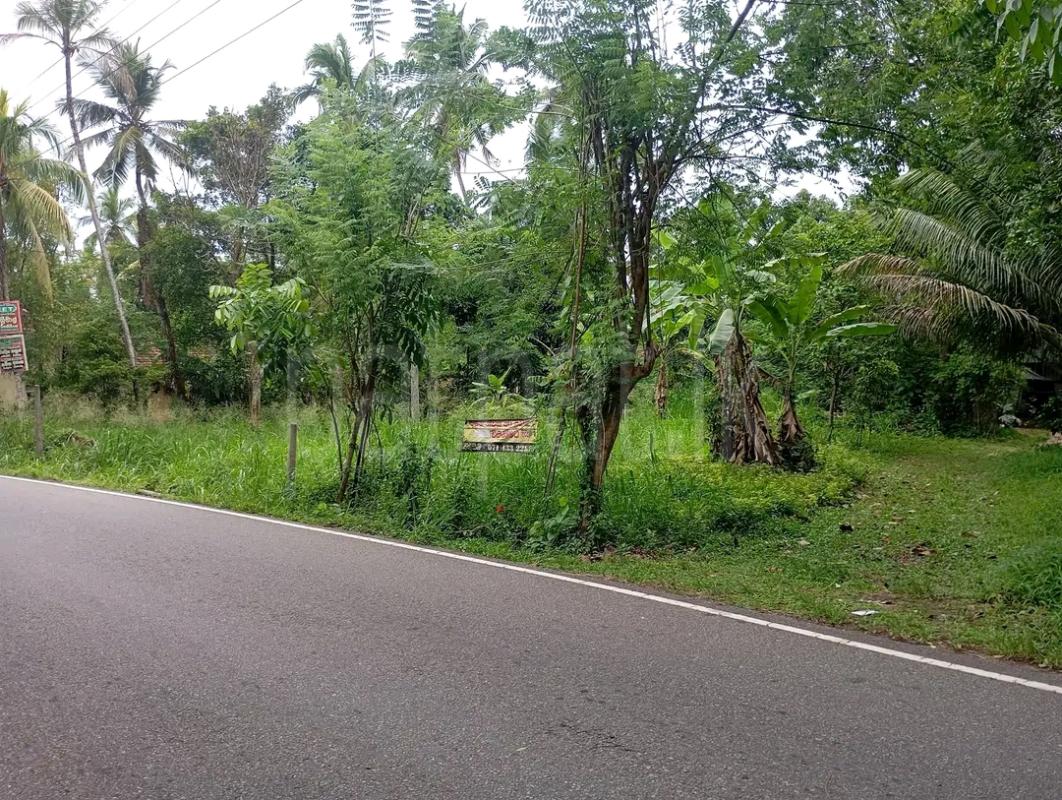Residential Land for Sale in Mawathagama