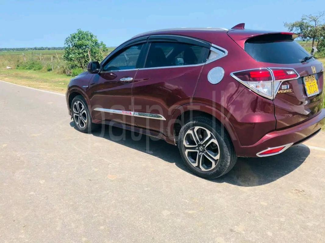 Advertisement image 4