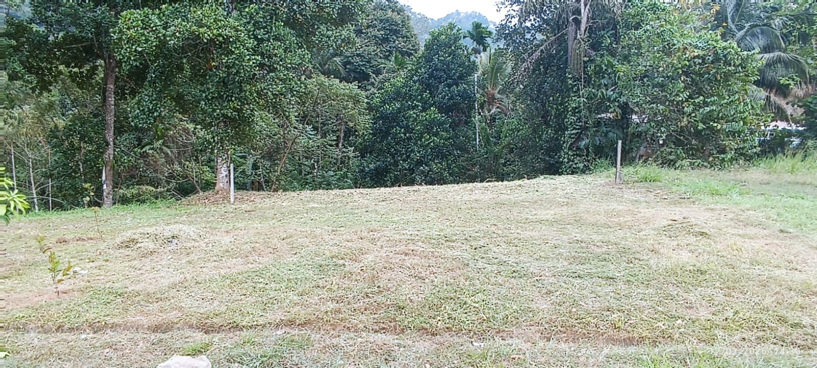 Commercial Land for Sale in Galagedara