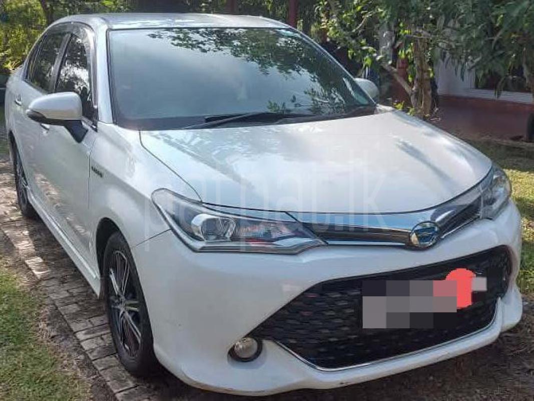 Advertisement image 1