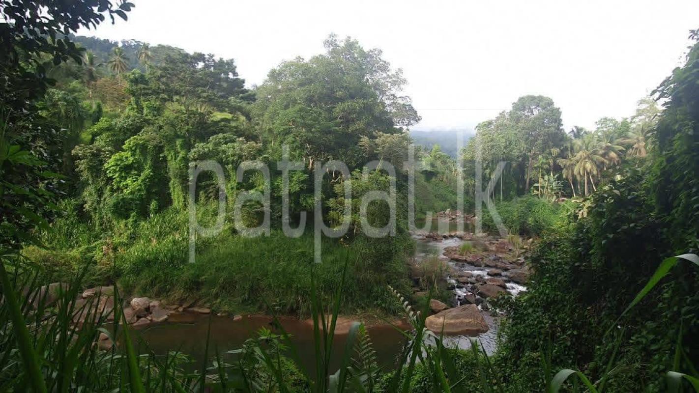 Agricultural Land for Sale in Deniyaya
