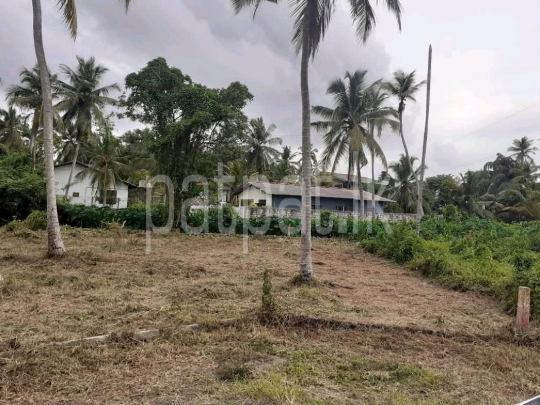 Commercial Land for Sale in Pamunugama