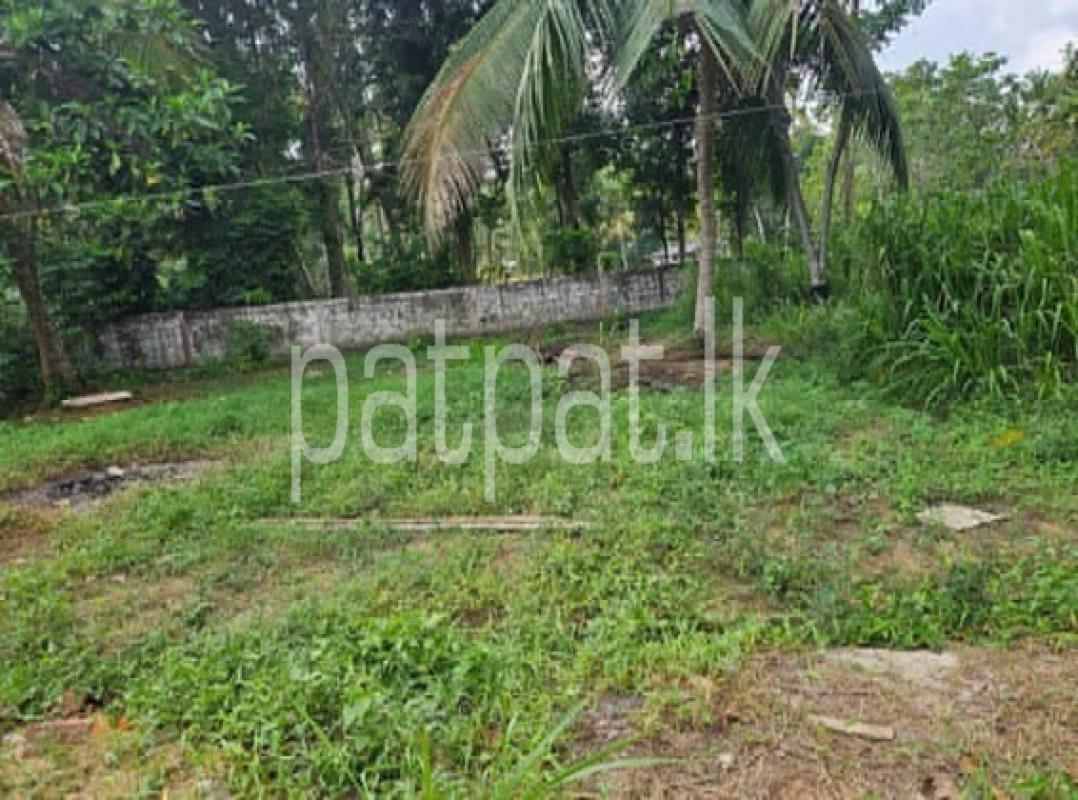 Advertisement image 1