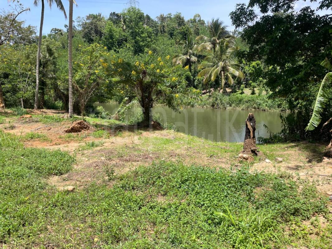 Residential Land for Sale in Balangoda