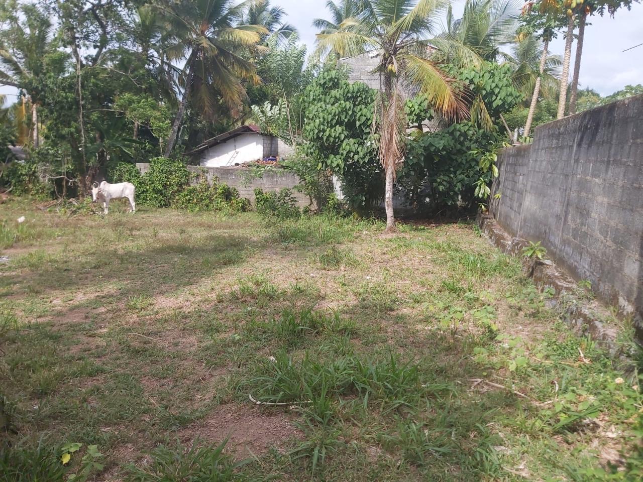 Residential Land for Sale in Ja-Ela