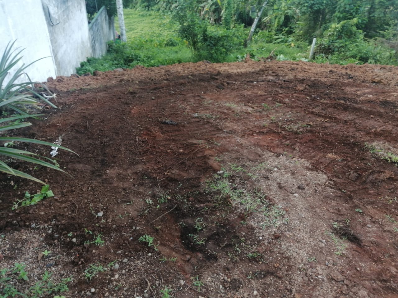 Commercial Land for Sale in Piliyandala