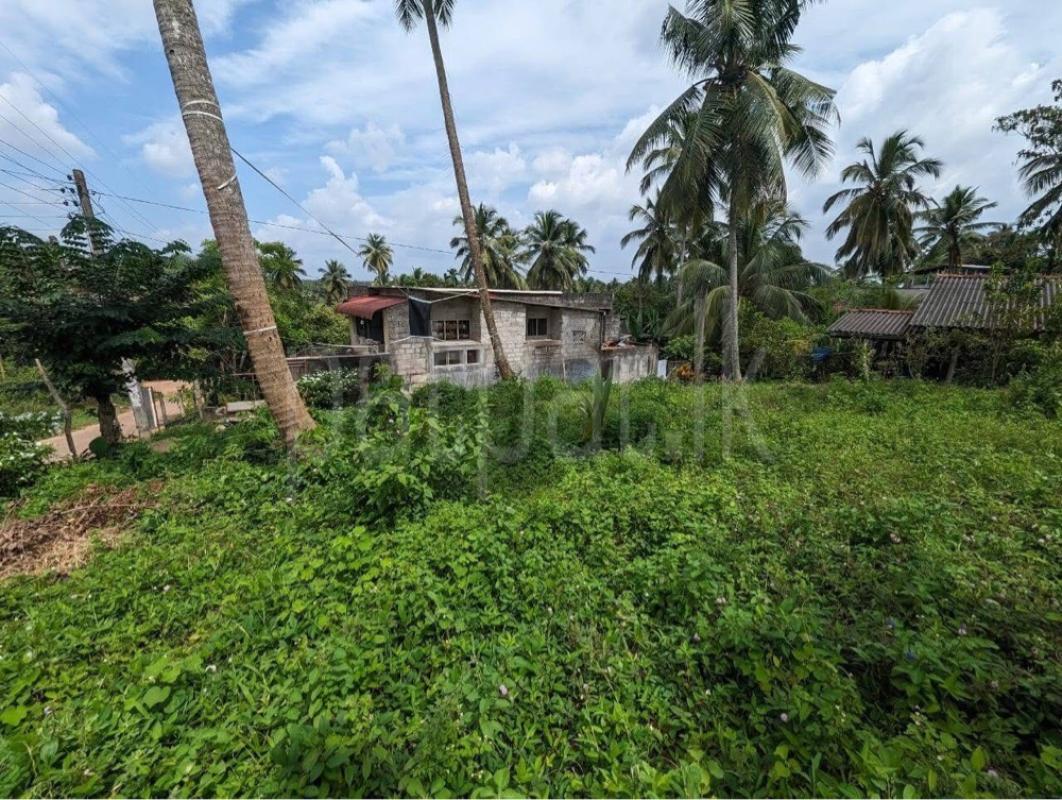 Advertisement image 6