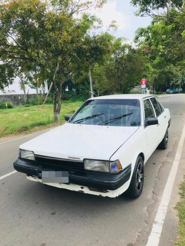 Advertisement image 1