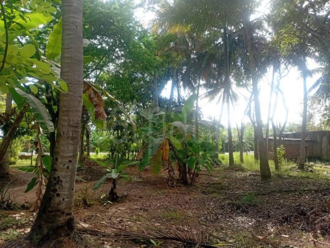 Residential Land for Sale in Talawa ads-image-1