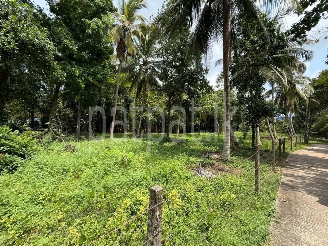 Residential Land for Sale in Malabe ads-image-1
