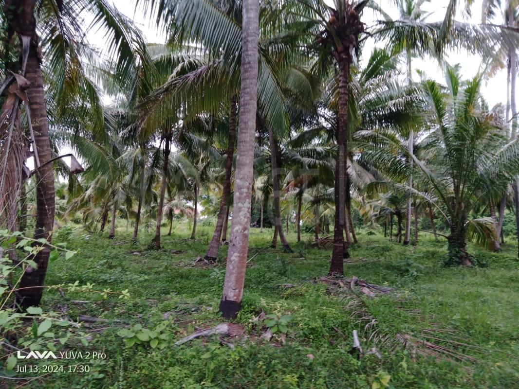 Agricultural Land for Sale in Kurunegala