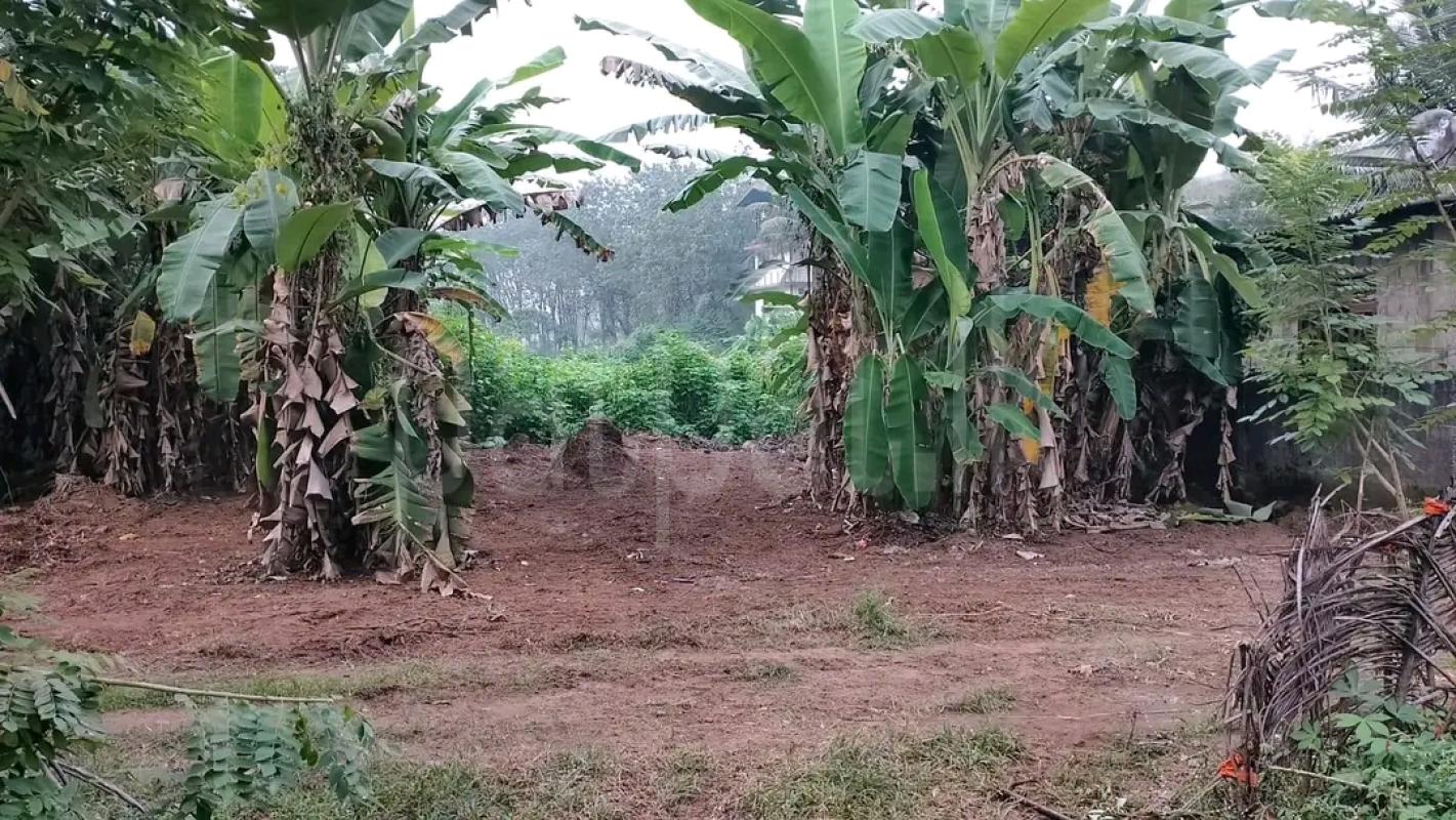 Agricultural Land for Sale in Maggona